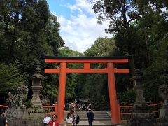 奈良公園→奈良国立博物館の流れから、本日の本命、春日大社へ。
本殿までの境内では、神の使いである鹿さんにたくさん遭遇します。