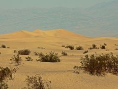 Sand Duneもフォトジェニックだけれど、昼間は砂が熱くて…火傷しそう。