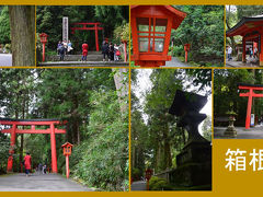 箱根神社です。
