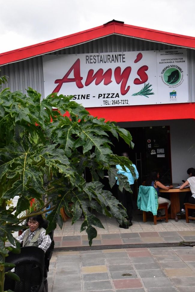 モンテベルデの森をエンジョイした後は、タラゴン温泉に向かいます。<br />途中で昼食。<br />