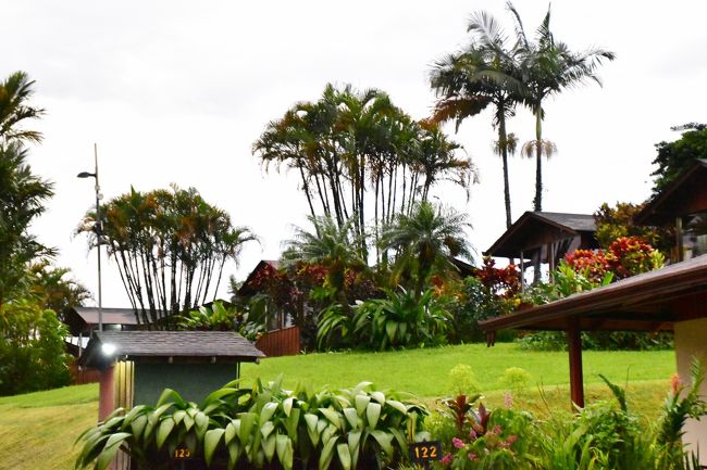 広い敷地にロッジが点在。<br />キーをもっらて、自分のロッジを探す。