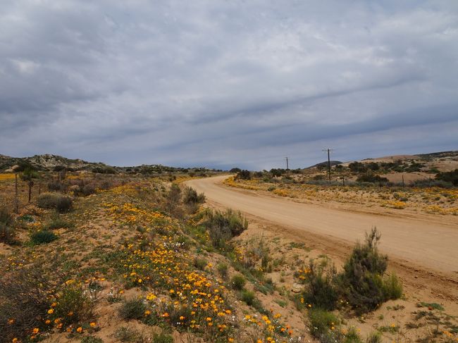 ２週間南部アフリカ旅行 その３ ナマクワランド ナマクアランド 南アフリカ共和国 の旅行記 ブログ By Satochanさん フォートラベル
