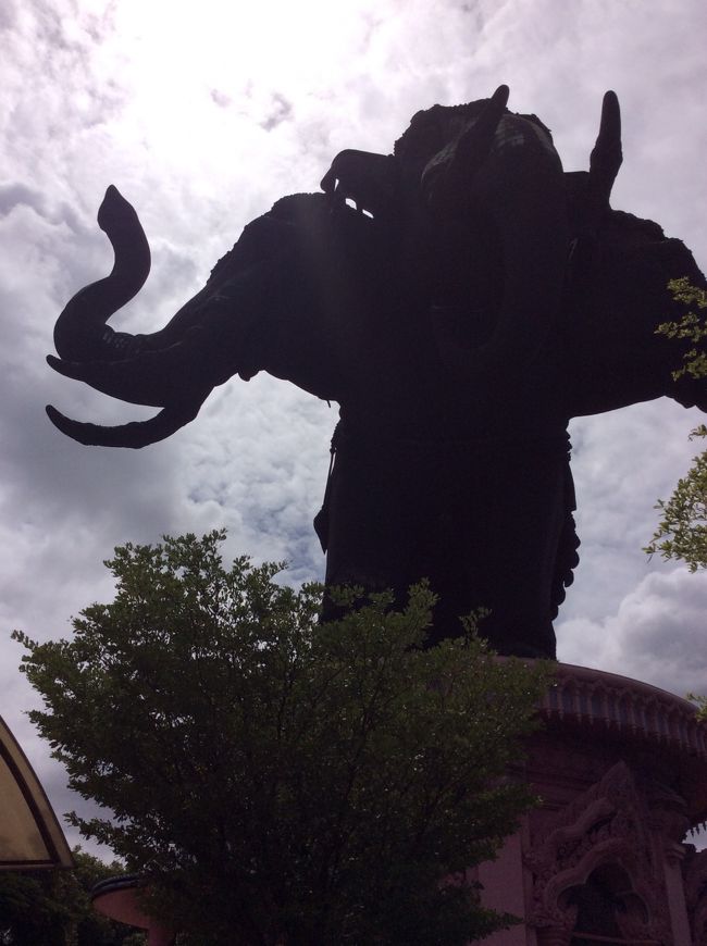 ミュージアムに向かいます。見上げてます。