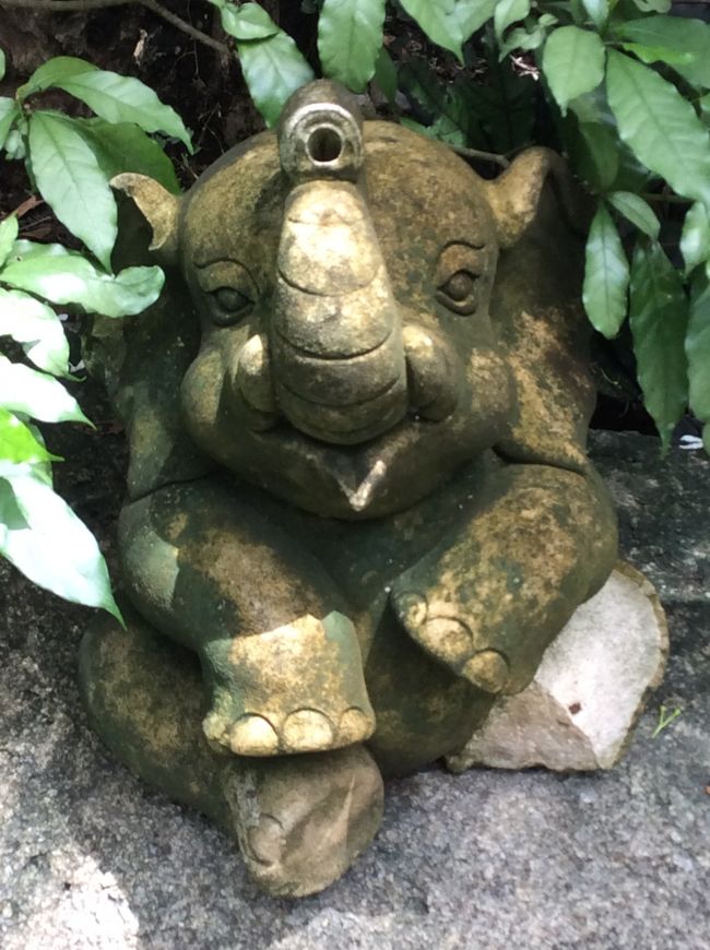 庭園を廻ります。