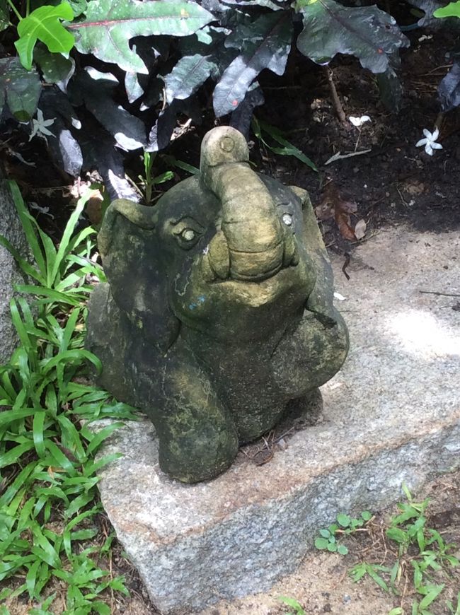 庭園を廻ります。