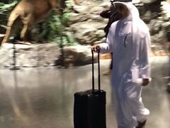 白装束発見

https://goronekone.blogspot.com/2018/10/hamad-international-airport-new-doha.html