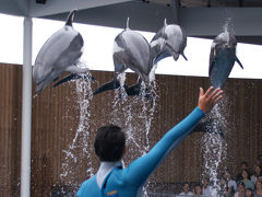 上越市立水族博物館 うみがたり