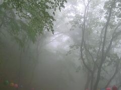 石窟庵(ソックラム)は、濃霧でした。
入り口で5000Ｗ払って、こんな道を15分くらい歩きます。