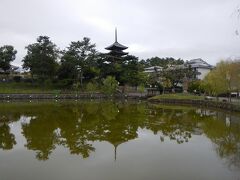 夕食は余裕をみて１９時半に予約済。
まだ時間があるので夕暮れの街を散策します。

まずはホテルの前から見えた興福寺へ。
興福寺のＨＰに「おすすめ拝観ルート」があったので
それにならって・・
まずは猿沢池のほとりを歩き五重塔が周囲の柳と一緒に
水面に映る風景を見る・・。
じゃ～～ん。美しい。

以前興福寺に来たときは東大寺拝観の後で
奈良公園側からのアクセスだった。
なのでこの風景は見逃してるな～。
