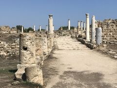 サラミス遺跡
https://goronekone.blogspot.com/2018/10/salamis-ruins.html