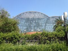 夢の島熱帯植物館。ガラスのドームが温室っぽいです