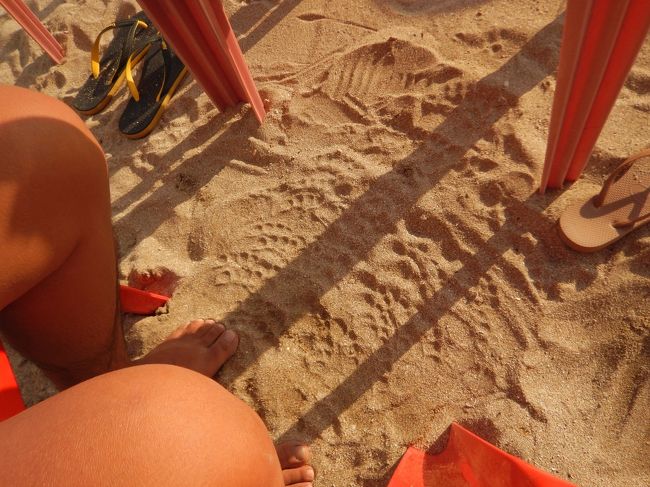 夫の足の指スタンプ。<br />夫婦の内輪ネタ。