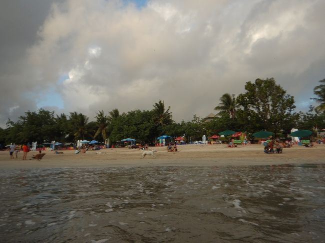 私は海で水遊び。<br />サテが他の犬を追い回してる。<br />カッコいいなサテ。