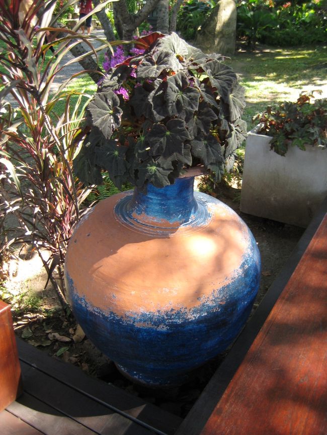 庭園を廻ります。