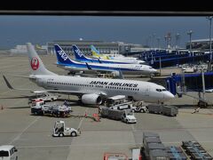 今回も中部セントレア空港からの出発です。
JALさんの機体メインのお写真ですが、今回もいつも通りANAを利用。