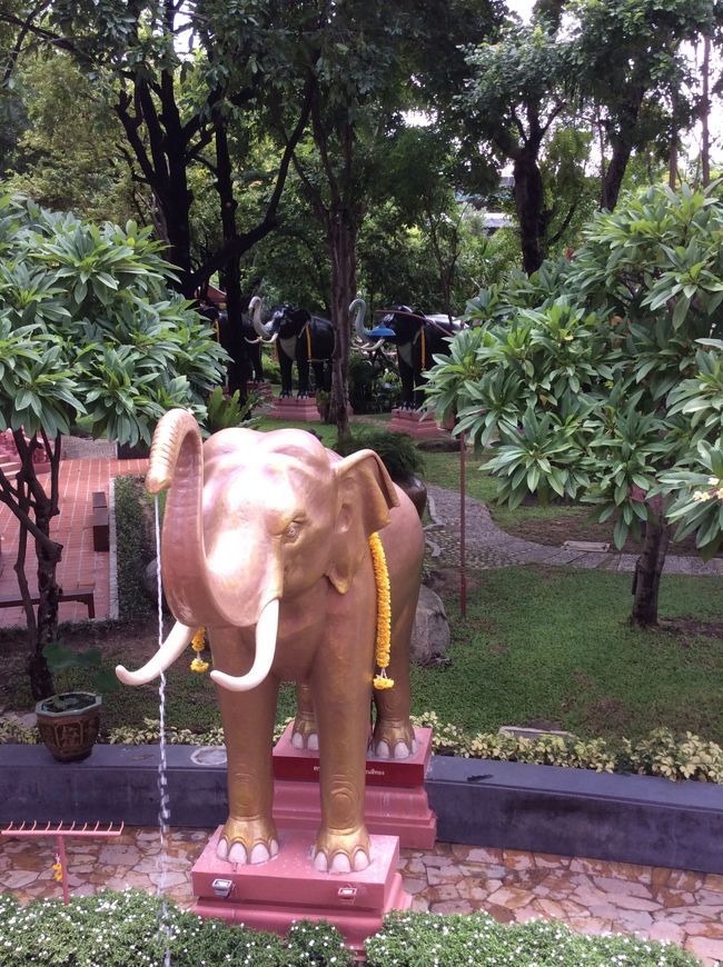 庭を廻ります。