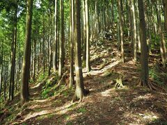 分岐に到着。左は惣岳山に向かう巻き道。もちろん右の岩茸石山を目指します。

急坂ですが、一頑張り。