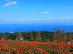 ううううわああああ～なんていい眺めなんだ～！！！お花畑の向こうは海です。