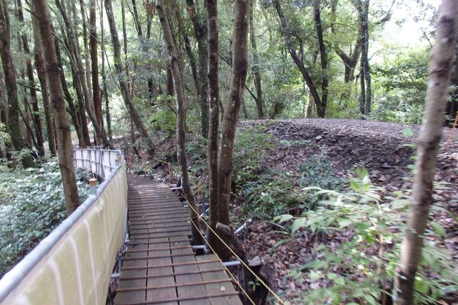 18 09 山陰めぐりパス ７ 津和野観光 津和野城登城編 津和野 島根県 の旅行記 ブログ By Planalyさん フォートラベル