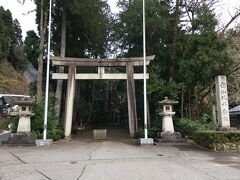 白山比咩神社の鳥居。

ここから拝殿まではしばらく参道が続きます。
参道脇の木立が気持ち良い。