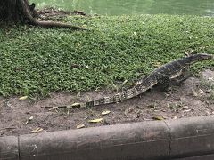 MBKをブラブラした後は電車に乗ってルンピニー公園へ！

名物の水オオトカゲを発見！ふつうに公園内を歩いてますｗ
けっこうかわいい。

大きい固体だと軽く1ｍを超えるそうですが、繁殖しすぎないように大きくなった固体は捕獲されるそうです。