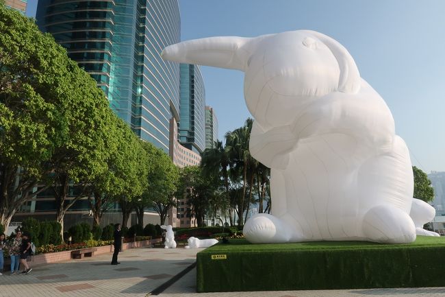 大きいです＾＾