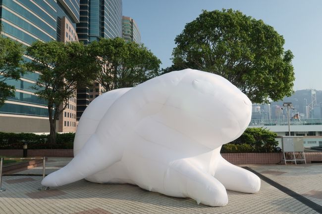 こちらにも別のウサギちゃん。