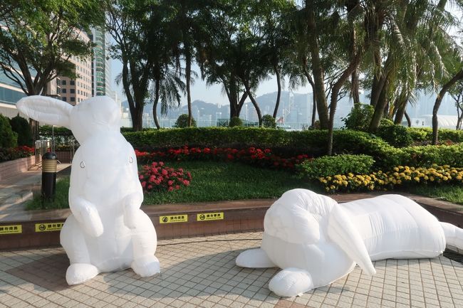 こっちはちょっと小さめ。