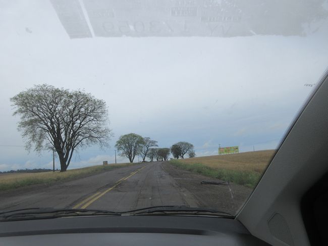 こんな道を走ります<br /><br />