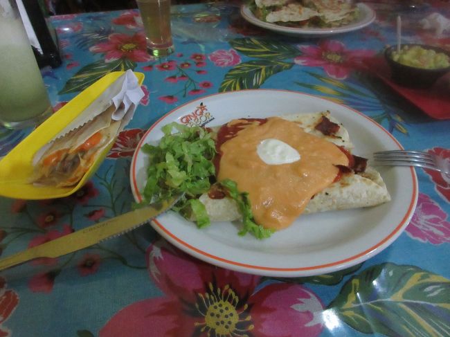 エンチラーダとケサディージャを食べた<br />　ちょっとマッサが分厚く感じられた<br /><br />