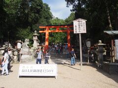 続いてもてくてく歩いて、春日大社へ。

いつも東大寺から回っているのか一之鳥居から歩くのは初めてでした。
山道！

春日大社も今年で創建1250年の節目だったんですね。
御朱印にも書かれていました。