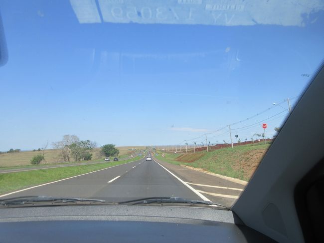 初春なので青さは少ないが<br /><br />