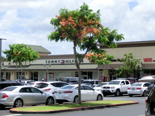 駐車場には車がいっぱい。