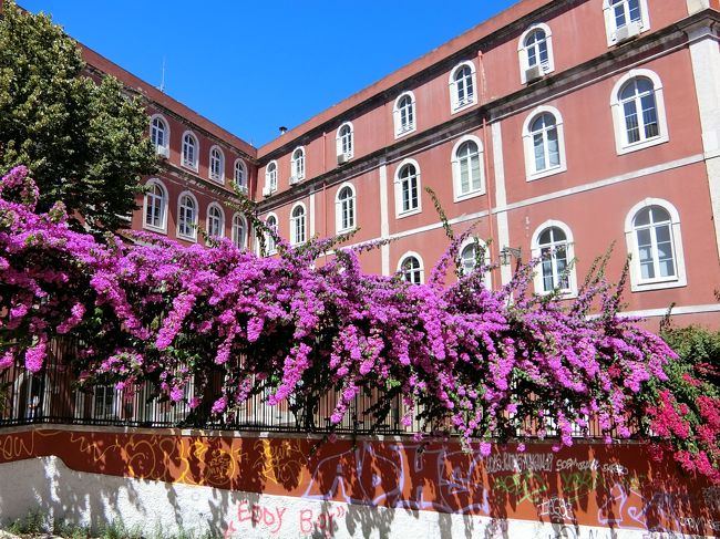 ブーゲンビリアが美しいアパートの前も階段はつづく。