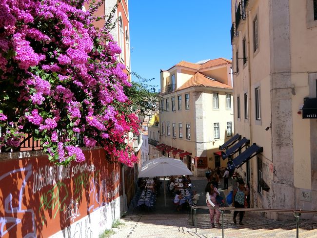 咲きこぼれるブーゲンビリアの先にもレストラン。