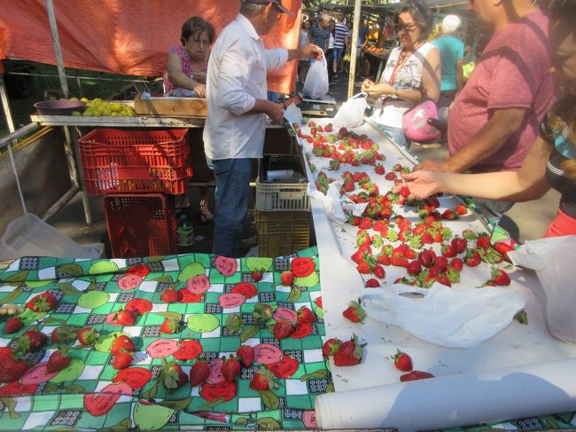 春と言えば、モランゴ＝イチゴ<br />　ハウスではなく露地栽培なのでイチゴ本来の香りと味が強烈<br /><br />