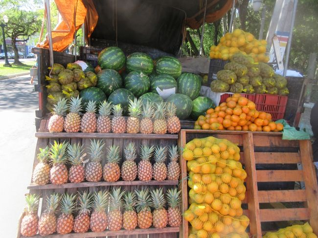 アバカシー＝パイナップル<br />メロンシーア＝スイカ<br />ラランジャ＝オレンジ<br />ミシリカ＝みかん<br />コッコ＝ココナツ<br />ピニャン＝ピネイロ（パラナ松）の実<br /><br />