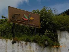 午後1時。グレゴリー湖畔でランチ。

アニルさんの「インド料理屋さんなら、まだお子さんが食べられる選択肢があると思いまして・・・」と、今振り返るとなぜそんな思考になったのか、私たちもなぜそれに同意したのか不思議なんですが、インディアンレストランに入ることに。
評判のお店だそうで大変混んでいました。レストランは外観とともに店内もとても清潔です。トイレも清掃がよく行き届いていました。アニルさん、グッドチョイス！

昨日に続き、問題はメニューです。食べたいものよりも、無難なメニューはどれか。子どもが産まれる前の妻との旅行は、「謎な料理」を中心に選択し、地雷もあれば場外ホームランもあり、どちらの料理も笑って食べ合ったものでしたが、楽しく旅行を遂行する今回の最重要課題は子どもたちの腹を満たすことです。
この旅で、子供たちがオーダーするジュースは、娘がスイカジュース、息子はコーラの一択になっていきました。