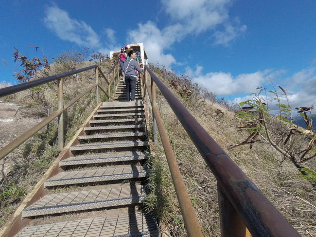 ゴールは目の前です！<br />嗚呼階段か<br />でもあとちょっとだと思うと頑張れる、気がするのです