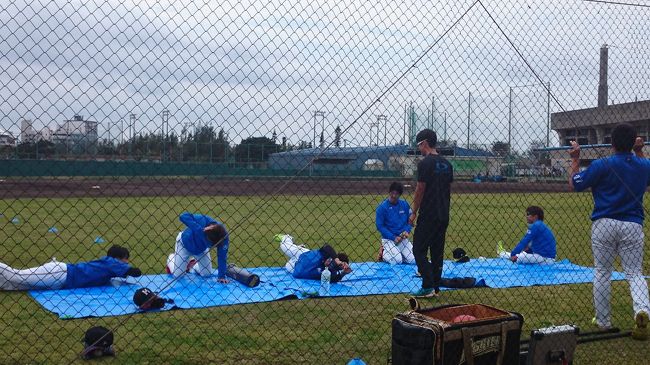 日ハムの選手達が練習してました。