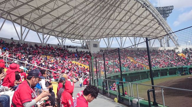 内野は結構赤い。<br />外野は地元の小学生たちとか沢山いました。