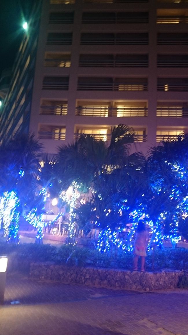 夜になってホテルの敷地内にある海沿いの居酒屋に行きます。<br />夜はイルミネーションが綺麗です。