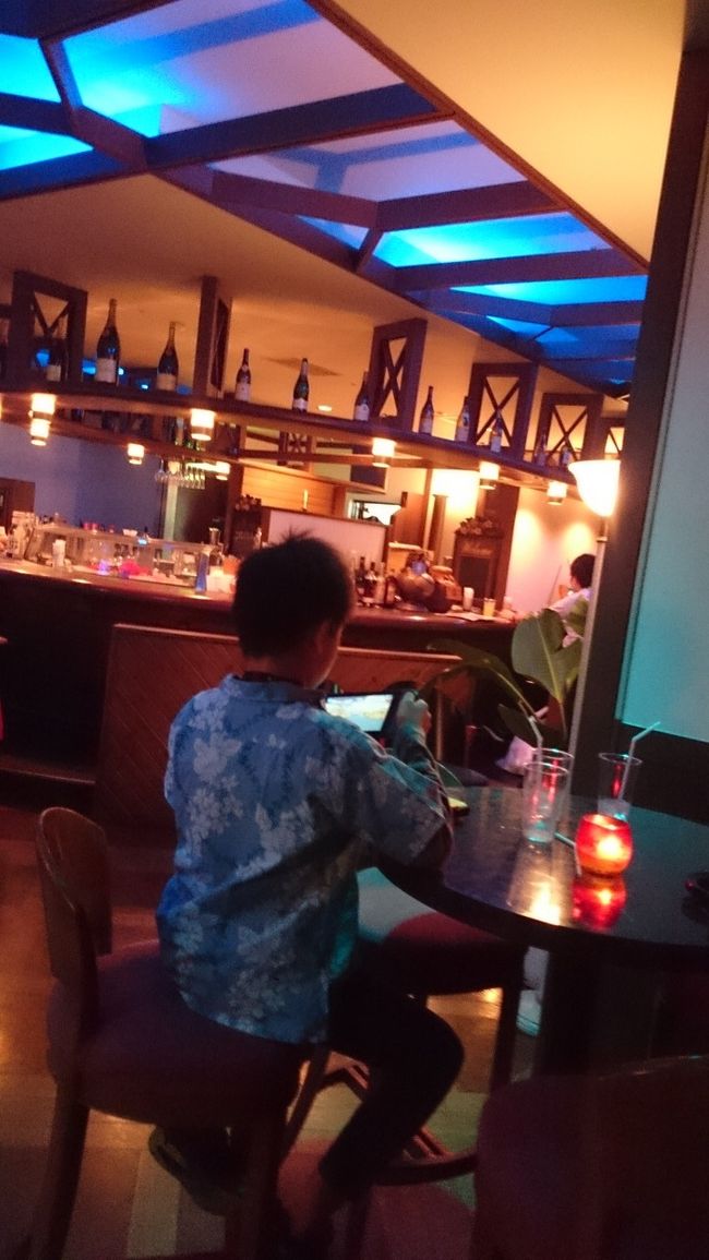 こんな雰囲気。<br />子供はこんなところでもゲームです。