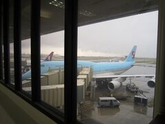 ホノルル空港に到着

外はすごい雨。
到着直後、外は真っ白で何も見えないくらいの雨。
そりゃ飛行機、揺れるわ～って感じ。
