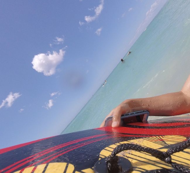 ちなみに主人は下山後、休む暇も惜しんで、海に繰り出していましたが、50のおっさんが1人でABCで買ったボディボードで遊んでる事が許される海<br /><br />ハワイサイコー