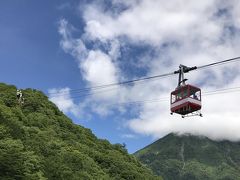 いろは坂を抜けて明智平へ。

道の途中に明智平のロープウェイ乗り場がありました。
ちょっとレトロなロープウェイにそそられましたが、まだ先が長いので
見るだけにして通過。