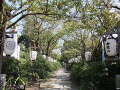 宝戒寺　白萩の咲く参道

萩の寺として知られる宝戒寺。
参道の萩は白い花です。