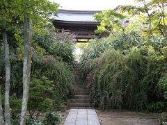 海蔵寺　山門前に咲く萩

英勝寺から10分ほど歩きますが、
こちらの萩もなかなか見事です。
