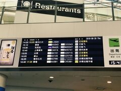 春休みぶりの福岡空港国際線です。目的地は違うけど、またキャセイに乗るとは思ってなかった～。3月の分、マイル付けておけばよかったなぁ。。。今回からアジアマイルに入会しました（笑）。
朝6時すぎに「25分遅延します」メールが来て、13時半頃に「さらに20分遅延します」メールが来て、トータル45分の遅延。目的地が香港だったらディナーの予定が狂う涙物ですが、今回5時間以上のトランジット予定だった我が家には好都合♪