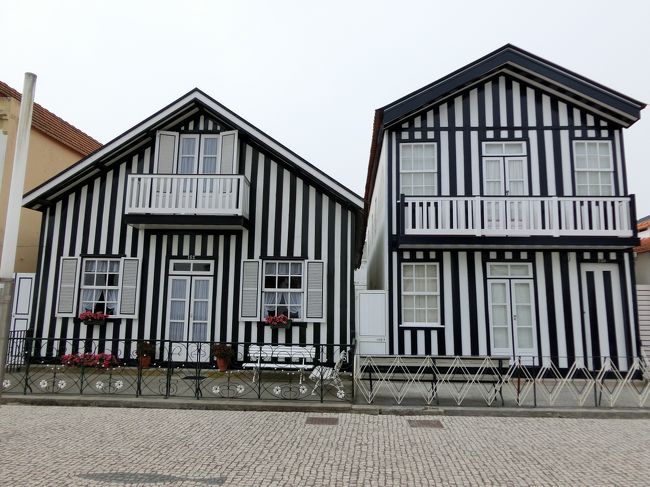 個人的に珍しい黒と白のストライプの家が気に入った。